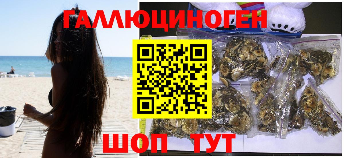 Галлюциногенные грибы Cubensis Алексин