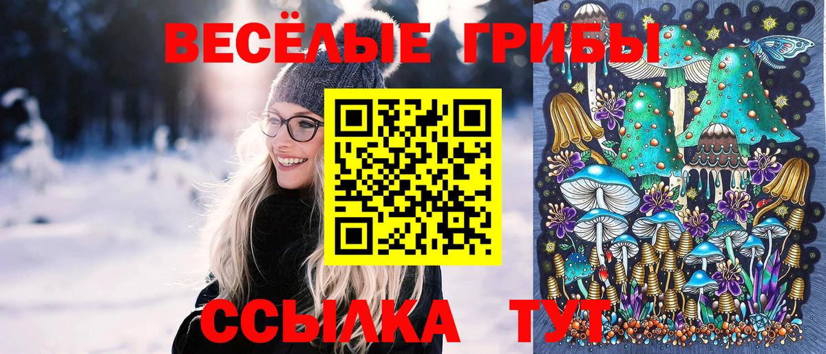 Галлюциногенные грибы мухоморы  Вход с VPN  даркнет сайт  Алексин 